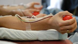 A fost confirmat un caz de infecţie cu virusul West-Nile &icirc;n Mangalia. Centrul Regional de Transfuzii Sanguine a anulat acţiunea de colectă mobilă