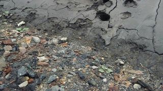 Operatiune dificila de salvare cu final fericit. Trei cai au fost la un pas de a se ineca intr-un lac de steril