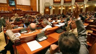 Noi proiecte in Parlament: Amenzi pentru cei care nu curata Ambrozia de pe terenuri si ore de sport facultative, sambata. Ce schimbari pregatesc parlamentarii