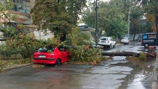 Furtunile au facut ravagii la Galati. Imagini apocaliptice cu masini zdrobite, copaci smulsi si canalizari aruncate in aer