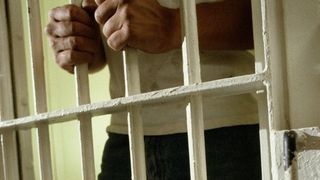 Persoanele care maltrateaza animalele risca pana la doi ani de inchisoare