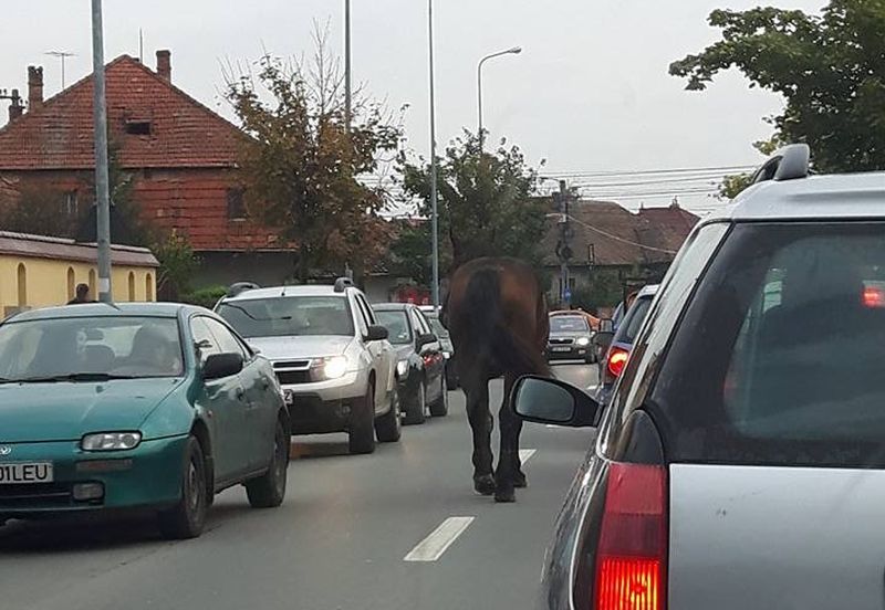 Sursa foto: oradesibiu.ro