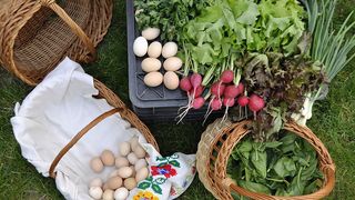 Producatorii romani sunt fortati sa-si vanda produsele sub costul de productie