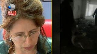 Imagini tulburatoare. Hingherii din Piatra Neamt chinuie un maidanez bolnav: "Am respectat procedura legala"