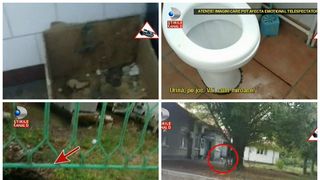 Asternuturi pline de sange si jeg, grupuri sanitare inundate de mizerie si haite de caini ce se plimba in voie. Asa arata Spitalul Judetean de la Giurgiu