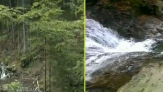 Imagini dezolante pe Valea Moasei, in Muntii Fagaras. Traseul turistic a fost distrus de desfrisarile masive. Potecile au fost distruse, cascadele aproape au disparut, iar raurile sunt impracticabile