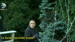 Asta e chiar culmea. In ce oras s-au apucat oamenii deja sa impodobeasca bradul de Craciun? Imagini surprinse zilele trecute in Romania