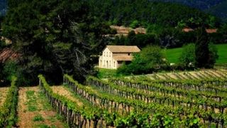 Doar in Evul Mediu mai exista aceasta meserie. Se cauta angajati pentru cel mai ciudat loc de munca al zilelor noastre