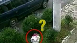 Ce a gasit un barbat intr-o sacosa abandonata in fata casei sale. A inlemnit cand a vazut ce se afla inauntru