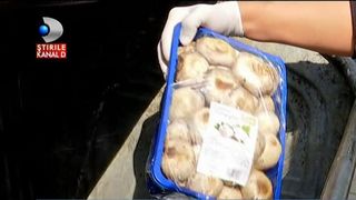 Suntem fruntasi la saracie in Europa, dar aruncam TONE de mancare buna! Romanii irosesc alimente care sunt perfect comestibile