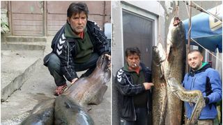 Captura uriasa pe Mures! Pescarul s-a chinuit mai bine de 45 de minute sa scoata din apa pestele monstru