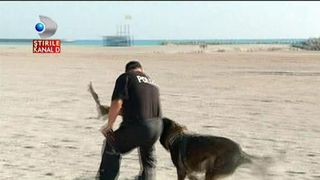 7 caini politisti de rasa isi cauta adapost. Animalele ies la pensie si au nevoie de un camin si multa dragoste