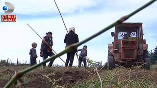 Satul in care toata lumea umbla cu "taxi-ul". Locul care pare desprins din cartile cu povesti