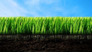 Afacere de succes cu peste un milion de rame: "Pentru noi reprezintă cel mai devotat angajat. Nu cere nici mărire de salariu şi nici concediu de odihnă"