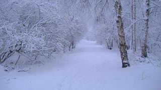 Atentionare cod galben de ninsoare. Stratul de zapada se va depune in special la munte