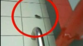 Incredibil! Un barbat a filmat un soarece printre rafturile unui hypermarket: "La inceput am crezut ca mi se pare". Ce spune conducerea magazinului