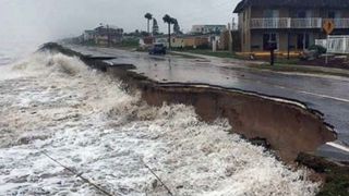 Uraganul Matthew a facut peste 900 de victime in Haiti, zeci de mii de oameni au ramas fara acoperis deasupra capului. Panica e maxima in SUA