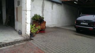 Prefectul de Sibiu: "S-a incercat oprirea ursului cu tranchilizante, dar nu s-a reusit. La rapiditatea cu care se misca, era un real pericol"