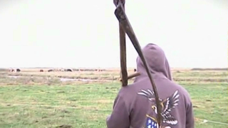Teroare intr-un sat din judetul Timis. Un barbat spinteca animalele vecinilor. "Loveste animalele, ne e frica si noua"