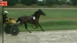 Hipodromul de la Ploiesti a costat 15 milioane de euro, dar nu poate fi folosit. Cum s-a ajuns la aceasta situatie ridicola