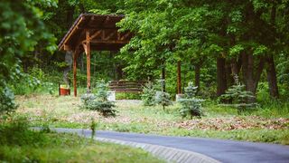 Muzeu botanic deschis &icirc;n Parcul Dendrologic din Alba Iulia! Vara va exista o alee terapeutică pe care vizitatorii vor putea călca desculţi