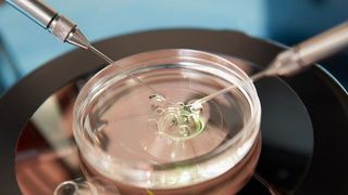 Intalnire emotionanta dupa 18 ani. Primul roman conceput prin fertilizare in vitro si-a intalnit medicul