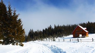 Zapada a inceput sa faca prapad in anumite zone din tara. Copaci cazuti, drumuri inchise si localitati sechestrate