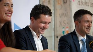 Nicusor Dan si cei din partidul sau sunt acuzati de fosta cantareata Mihaela Mihai