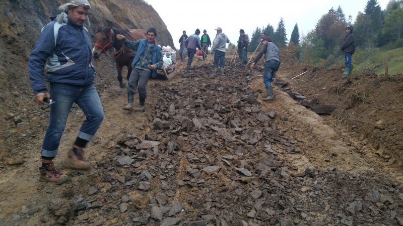 Sursa foto: haivas.ro