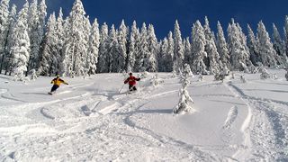 Ambasadorul Sloveniei in Romania: Poiana Brasov ar putea fi un punct de atractie pentru schiorii sloveni daca ar exista un aeroport in zona