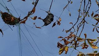 Sursa foto: Adevarul.ro