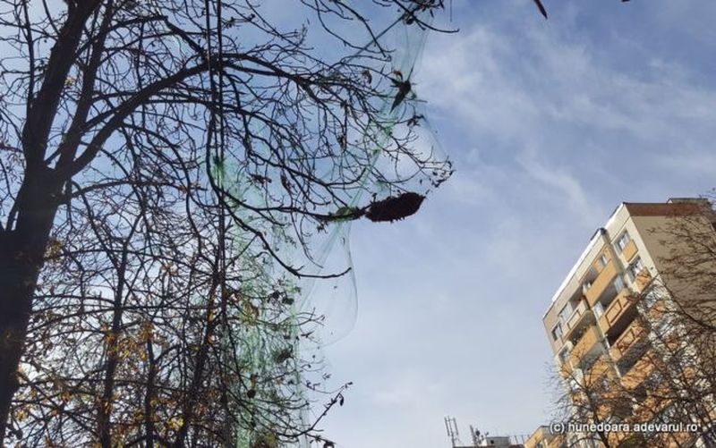 Sursa foto: Adevarul.ro