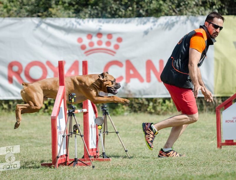 Consilierul general participa la competitii alaturi de cainele sau