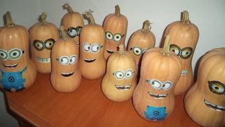 Afacere inedita: un fermier din Calarasi a lansat dovlecii-minioni!