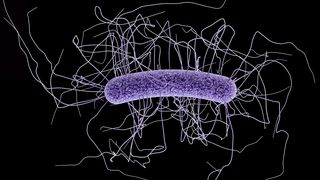 Cinci pacienţi din Secţia de Chirurgie a SJU Vaslui şi o infirmieră care-i &icirc;ngrijea, infectaţi cu clostridium difficile