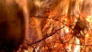 Zeci de oameni au aprins focul lui Sumedru. Traditie pastrata de sute de ani in ajun de Sfantul Dumitru