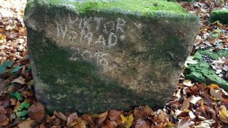 Un turist ceh care a vizitat Romania si-a batut joc de 2.000 de ani de istorie