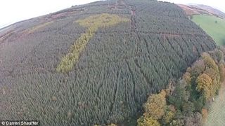 Misterul crucii de aproape 100 de metri aparuta intr-o padure din Irlanda a fost rezolvat! Crucea gigant a devenit o adevarata atractie turistica