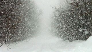 Vine iarna. Meteorologii au emis cod galben de ninsori şi viscol la munte.