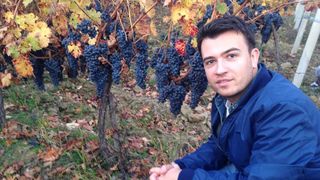 Costin Isarescu se ocupa de viile de la Dragasani ale familiei