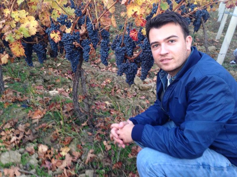 Costin Isarescu se ocupa de viile de la Dragasani ale familiei