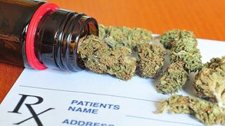 Australia, prima tara din lume care permite cultivarea de marijuana si cannabis in scop medicinal. Guvernul a reglementat acest lucru