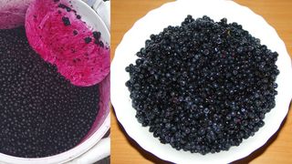 Fructe toxice vandute drept afine in oborul din Constanta: "Daca eu reclam ca cineva otraveste populatia, pe autoritati le doare in...".