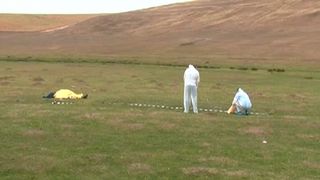 Un cioban din Satu Mare si cainele sau de paza au fost devorati de mistreti si alte animale salbatice