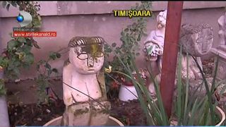 Timisorenii au doua "cumintenii ale pamantului". Uite cum arata si cat seamana cu opera originala