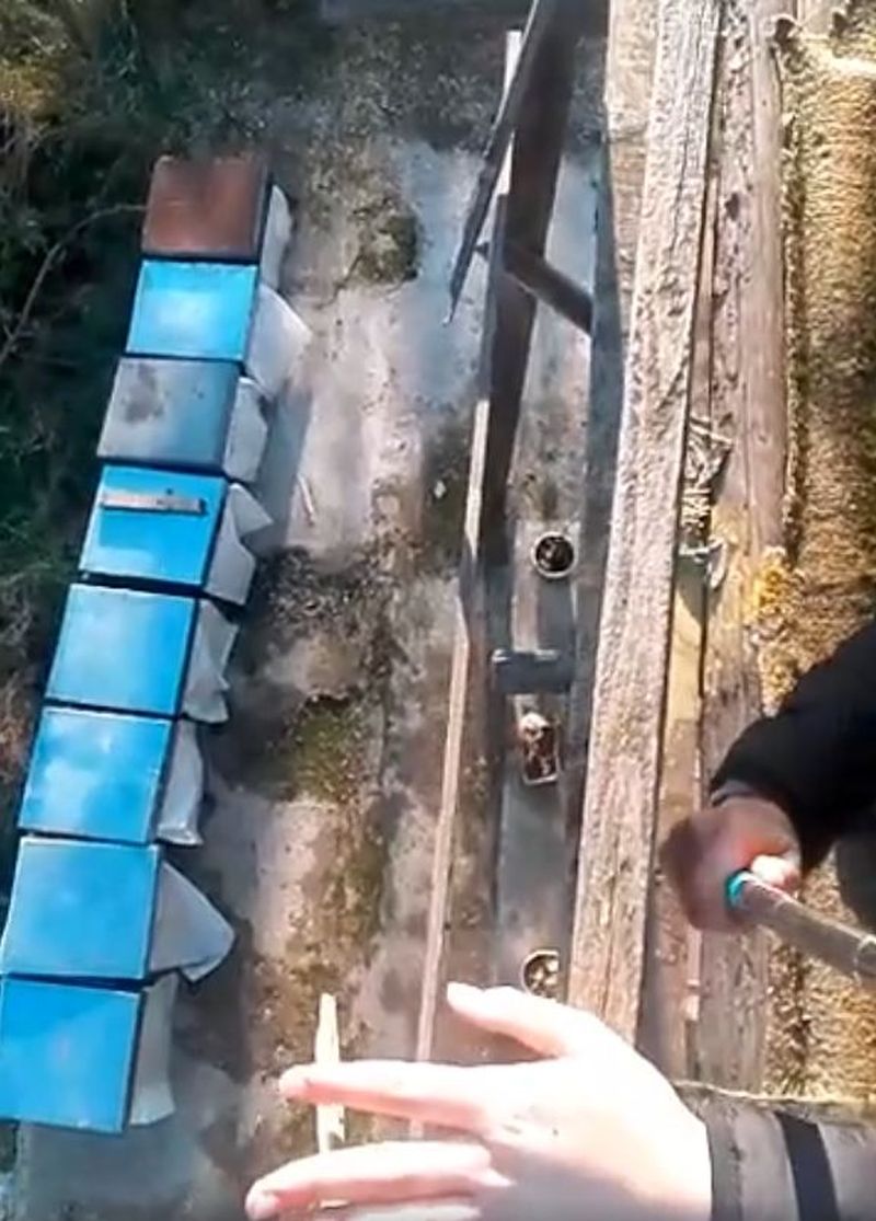 Barbatul a picat pe asfalt, chiar langa stupi