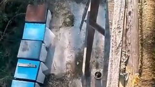 Barbatul a picat pe asfalt, chiar langa stupi