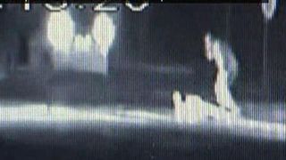 Un barbat de 33 de ani din Neamt a fost spulberat de o masina intr-o intersectie! Totul a fost filmat pe o camera de supraveghere!