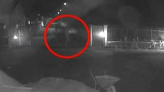 A venit pe jos si a plecat pe doua roti. Cum a reusit sa fure un individ din Timisoara o bicicleta