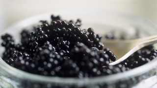 Ce au spus oamenii de la tara cand au vazut pentru prima oara icre negre: "Crema de dat pe ghete?"